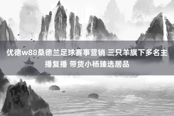 优德w88桑德兰足球赛事营销 三只羊旗下多名主播复播 带货小杨臻选居品