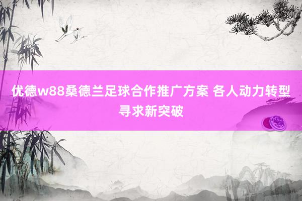 优德w88桑德兰足球合作推广方案 各人动力转型寻求新突破