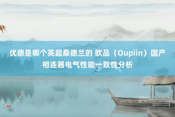 优德是哪个英超桑德兰的 欧品（Oupiin）国产相连器电气性能一致性分析